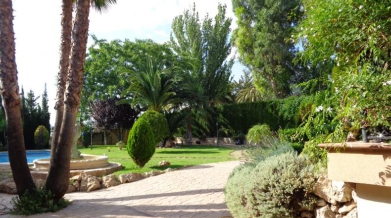 Alicante - Petrer - 1500m2