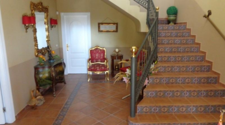 Alicante - Petrer - 1500m2
