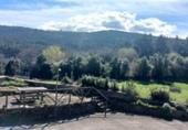 Xalet independent amb terreny en venda a la España, Cóbreces, ref.: TR147130 foto