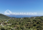 Casa amb terreny en venda a la España, Tarifa, ref.: TR269639 foto