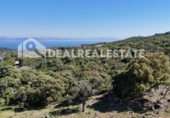 Casa amb terreny en venda a la España, Tarifa, ref.: TR269639 foto
