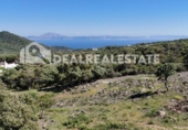 Casa amb terreny en venda a la España, Tarifa, ref.: TR269639 foto