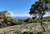 Casa amb terreny en venda a la España, Tarifa, ref.: TR269639 foto