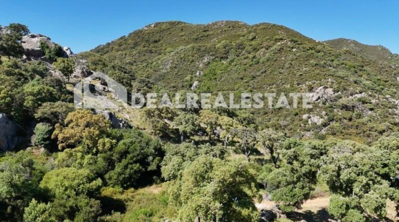 Cadiz - Tarifa - 15000m2