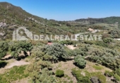 Casa amb terreny en venda a la España, Tarifa, ref.: TR269639 foto
