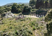 Casa amb terreny en venda a la España, Tarifa, ref.: TR269639 foto