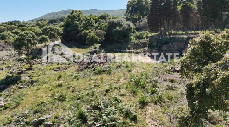 Cadiz - Tarifa - 15000m2