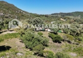 Casa amb terreny en venda a la España, Tarifa, ref.: TR269639 foto