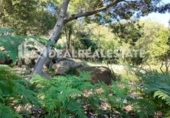 Casa amb terreny en venda a la España, Tarifa, ref.: TR269639 foto