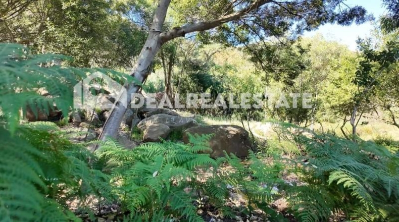Cadiz - Tarifa - 15000m2