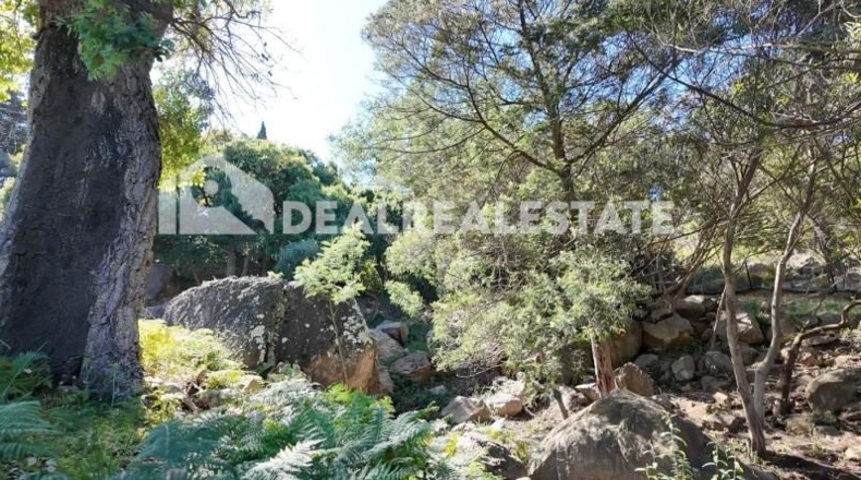 Cadiz - Tarifa - 15000m2