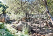 Casa amb terreny en venda a la España, Tarifa, ref.: TR269639 foto