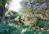 Casa amb terreny en venda a la España, Tarifa, ref.: TR269639 foto