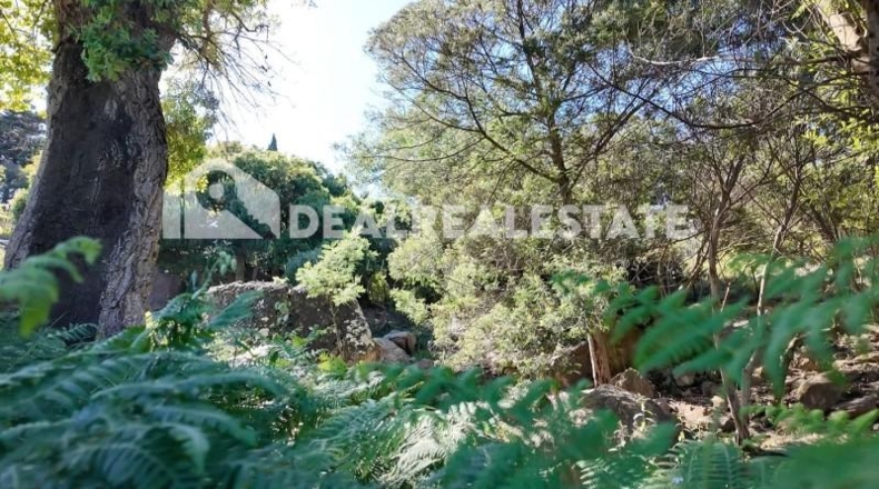 Cadiz - Tarifa - 15000m2