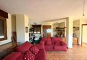 Chalet independiente con terreno en venta en la España, Murcia, ref: TR348684 foto