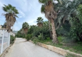 Chalet independiente con terreno en venta en la España, Murcia, ref: TR348684 foto