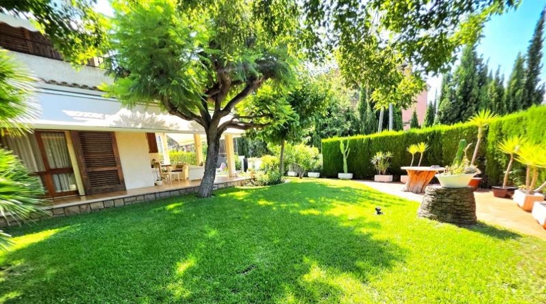 Castellón - Benicàssim - 1118m2