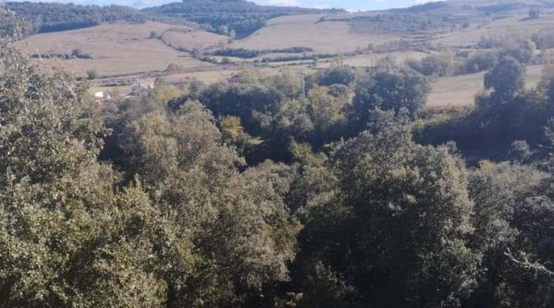Burgos - Entrambasaguas - 57200m2