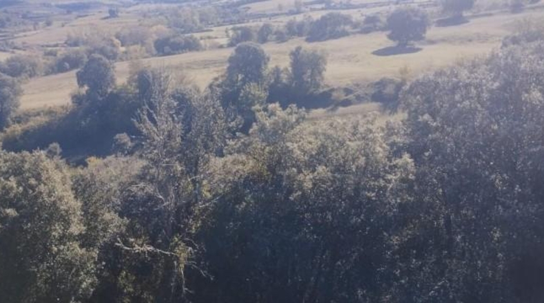 Burgos - Entrambasaguas - 57200m2