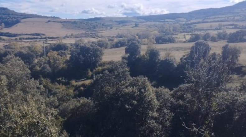 Burgos - Entrambasaguas - 57200m2