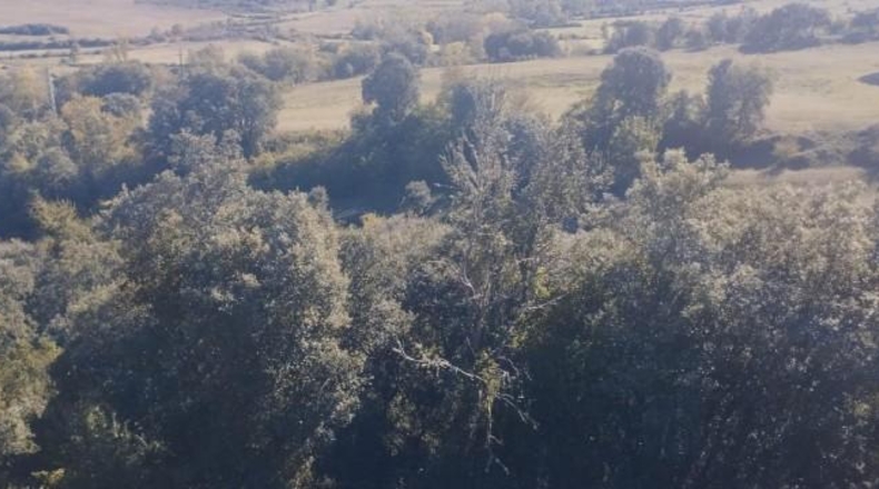 Burgos - Entrambasaguas - 57200m2