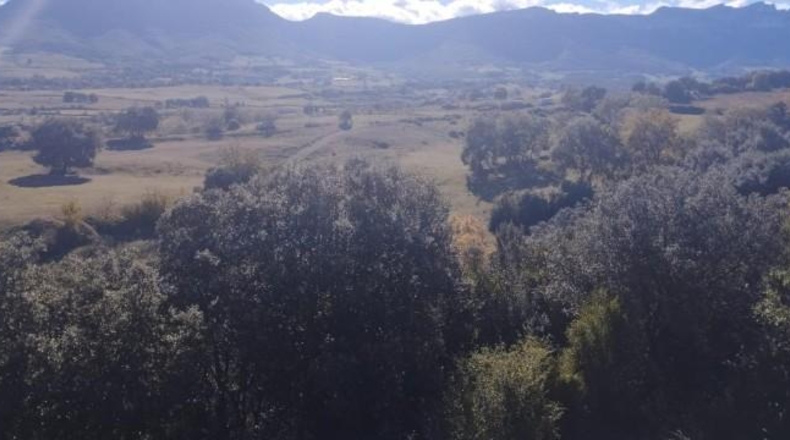 Burgos - Entrambasaguas - 57200m2