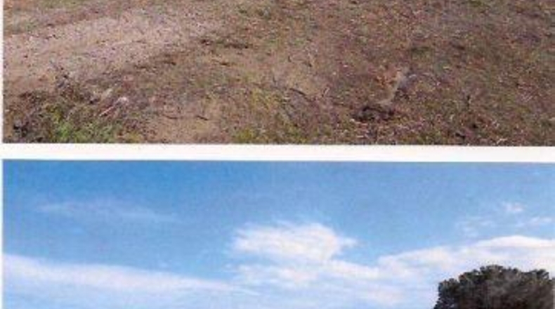 Gerona - Marzà - 30000m2