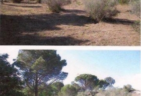 Marzà 30000&nbsp;m² 