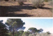 Parcel·la urbanitzable en venda a la España, Marzà, ref.: TR184769 foto