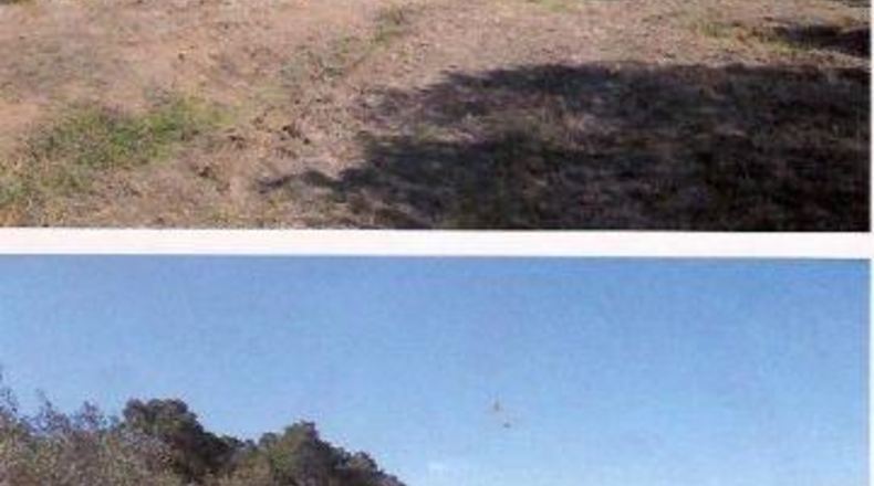 Gerona - Marzà - 30000m2
