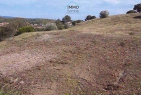Marzà 30000&nbsp;m² 