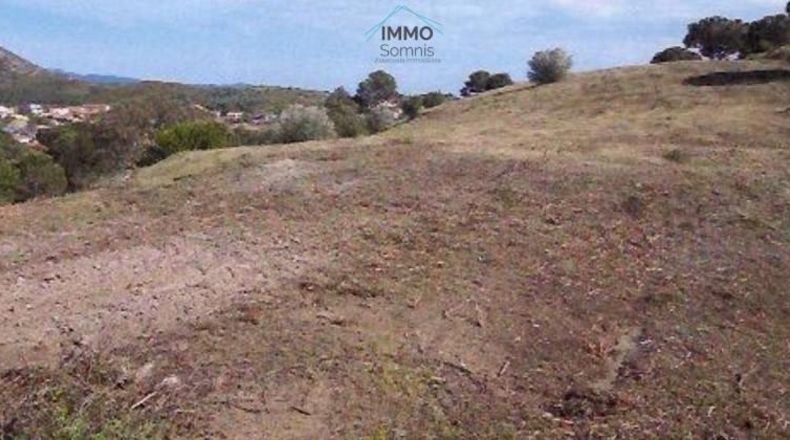 Gerona - Marzà - 30000m2