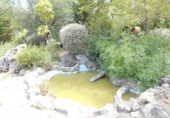 Detached villa with land for sale on España, Oliva, ref: TR160707 photo
