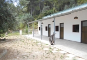Detached villa with land for sale on España, Oliva, ref: TR160707 photo