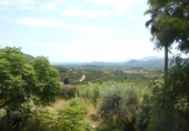 Detached villa with land for sale on España, Oliva, ref: TR160707 photo