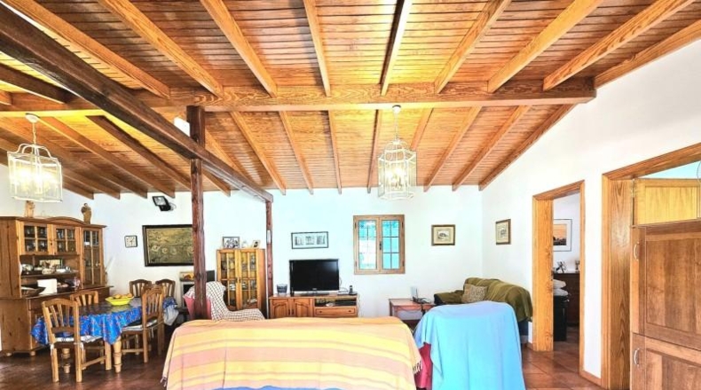 Las Palmas - La Aldea de San Nicolás - 200000m2