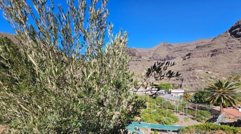 Las Palmas - La Aldea de San Nicolás - 200000m2