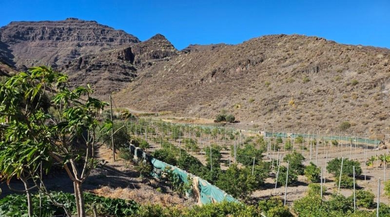 Las Palmas - La Aldea de San Nicolás - 200000m2