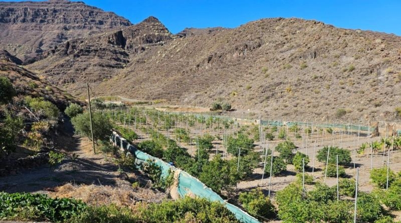 Las Palmas - La Aldea de San Nicolás - 200000m2
