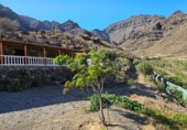 Casa de camp amb terreny en venda a la España, La Aldea de San Nicolás, ref.: TR166456 foto