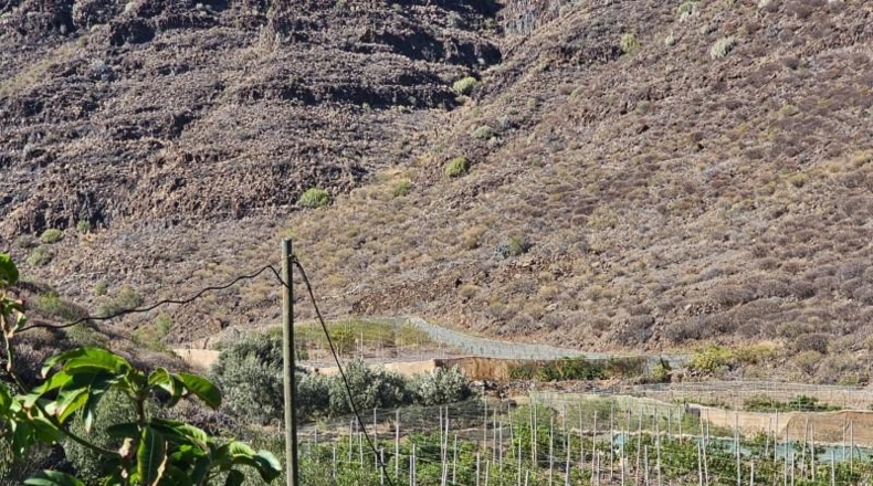 Las Palmas - La Aldea de San Nicolás - 200000m2