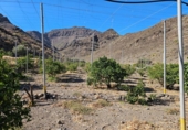 Casa de camp amb terreny en venda a la España, La Aldea de San Nicolás, ref.: TR166456 foto