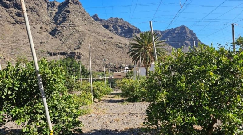Las Palmas - La Aldea de San Nicolás - 200000m2