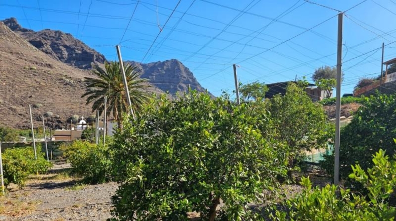 Las Palmas - La Aldea de San Nicolás - 200000m2