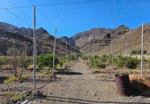 Casa de camp amb terreny en venda a la España, La Aldea de San Nicolás, ref.: TR166456 foto