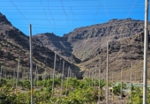 Casa de camp amb terreny en venda a la España, La Aldea de San Nicolás, ref.: TR166456 foto