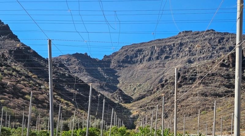 Las Palmas - La Aldea de San Nicolás - 200000m2