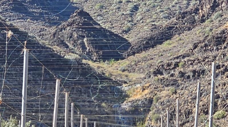 Las Palmas - La Aldea de San Nicolás - 200000m2