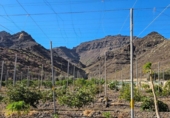 Casa de camp amb terreny en venda a la España, La Aldea de San Nicolás, ref.: TR166456 foto