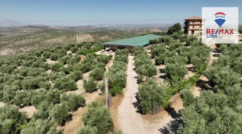 Jaén - Cazorla - 105697m2